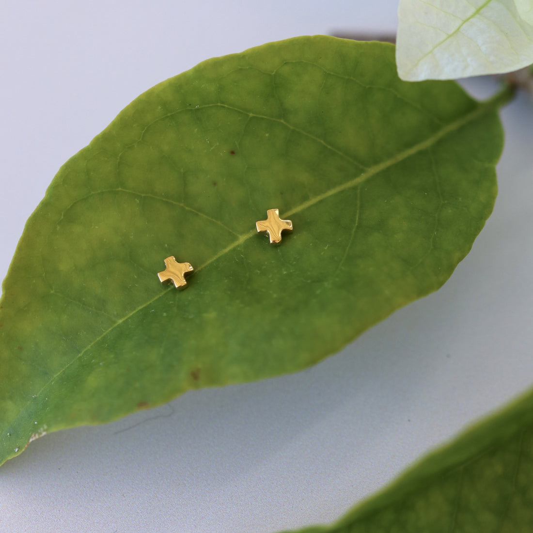 LEOMI STUDS GOLD VERMEIL