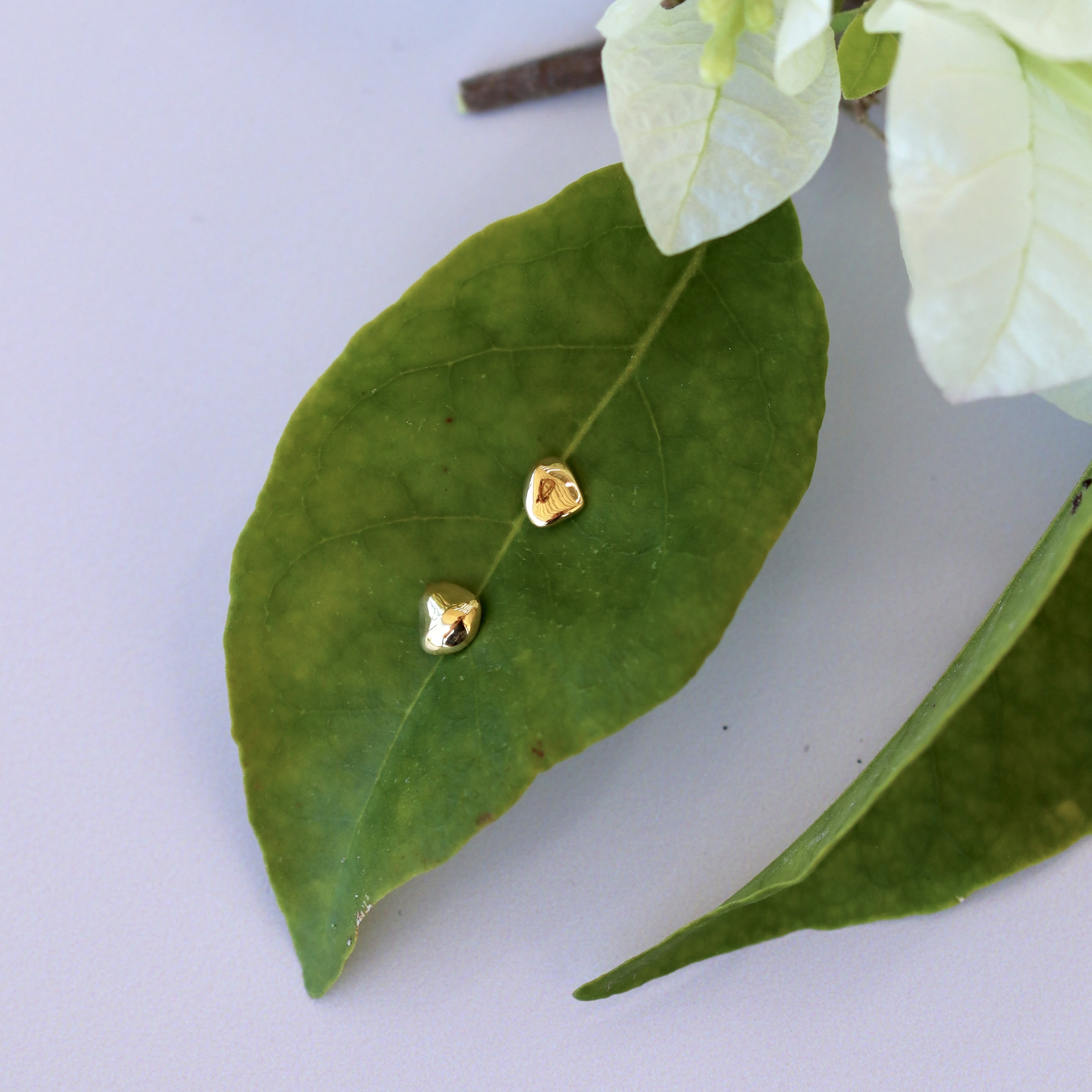 AMBROSIA STUDS GOLD VERMEIL