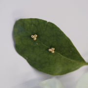 CHLOE STUDS GOLD VERMEIL