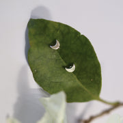 SELENE STUDS SILVER