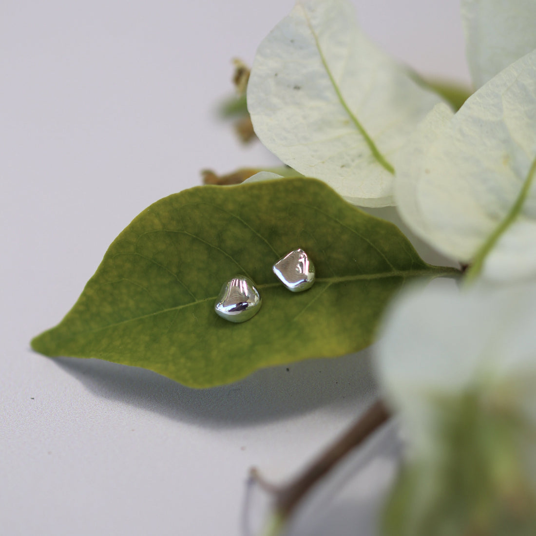 AMBROSIA STUDS SILVER
