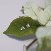 AMBROSIA STUDS SILVER